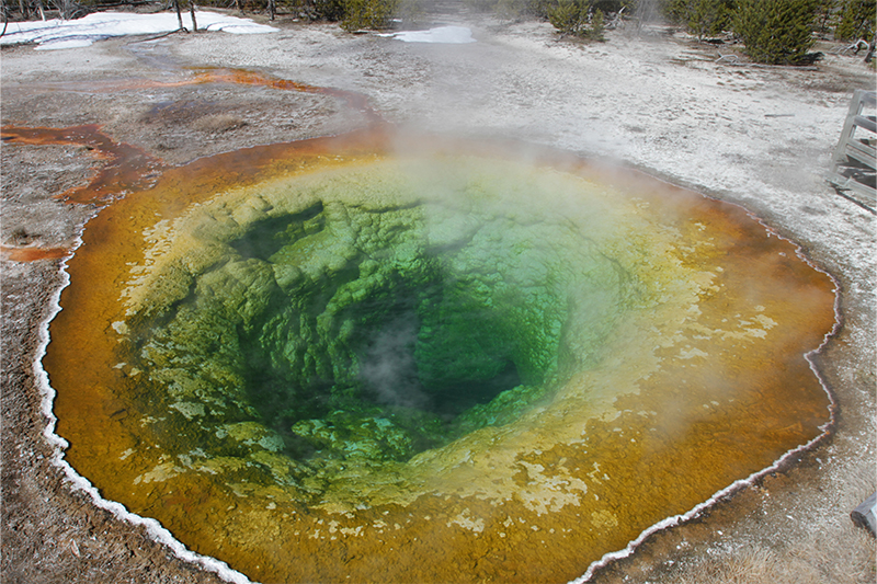 ellowstone hot spring