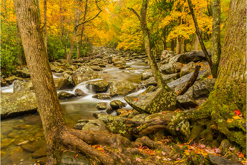 Great Smoky Mountains National Park fall river