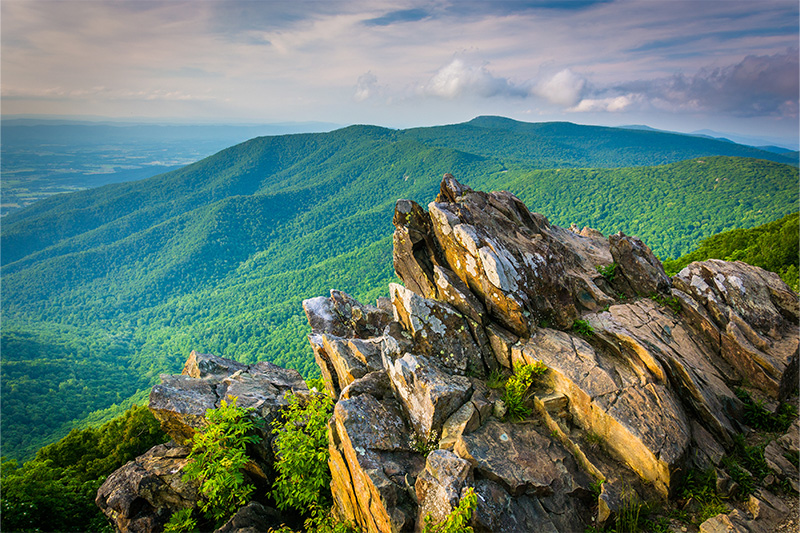 Shenandoah National Park