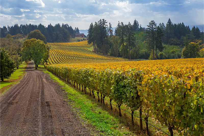 Willamette Valley, Oregon