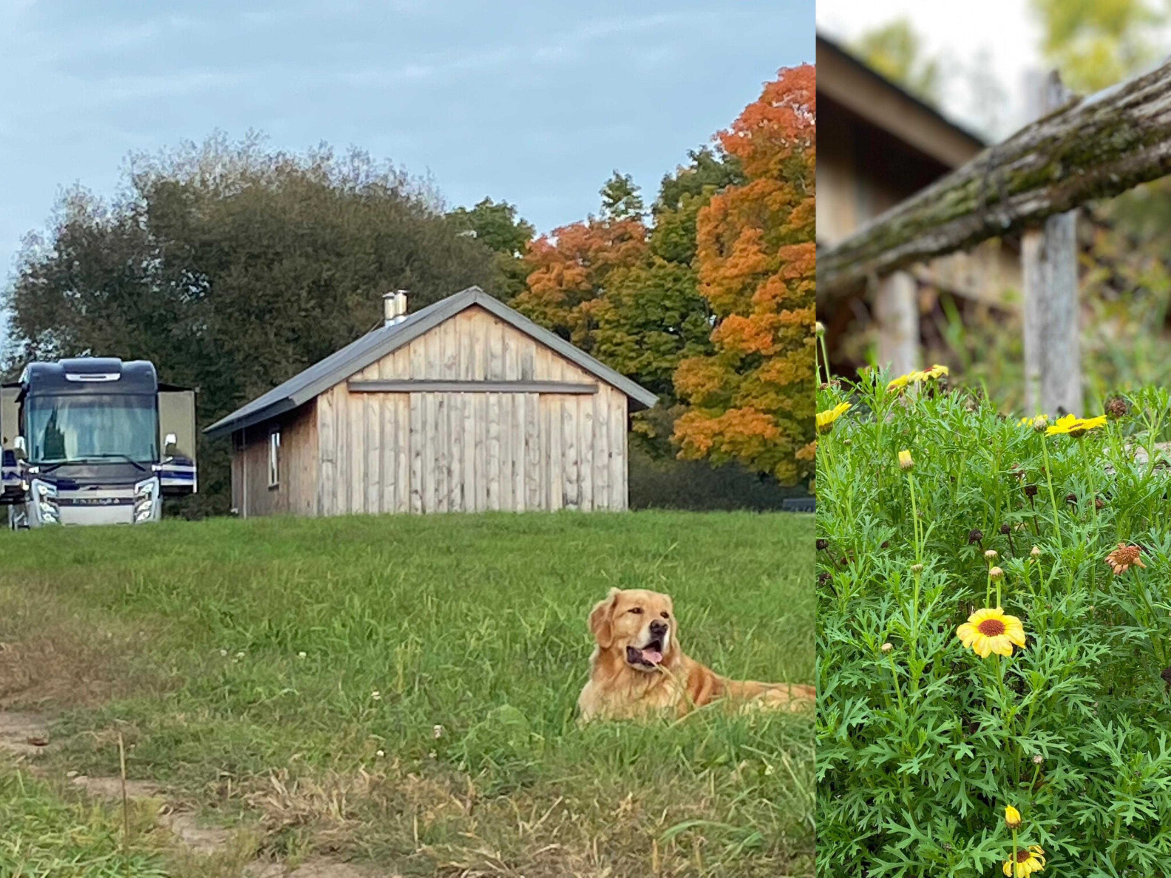 Dreaming Tree Ranch