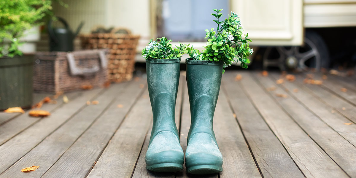 Share from DIY RV: Spruce up your RV with these 6 Camper-friendly Houseplants