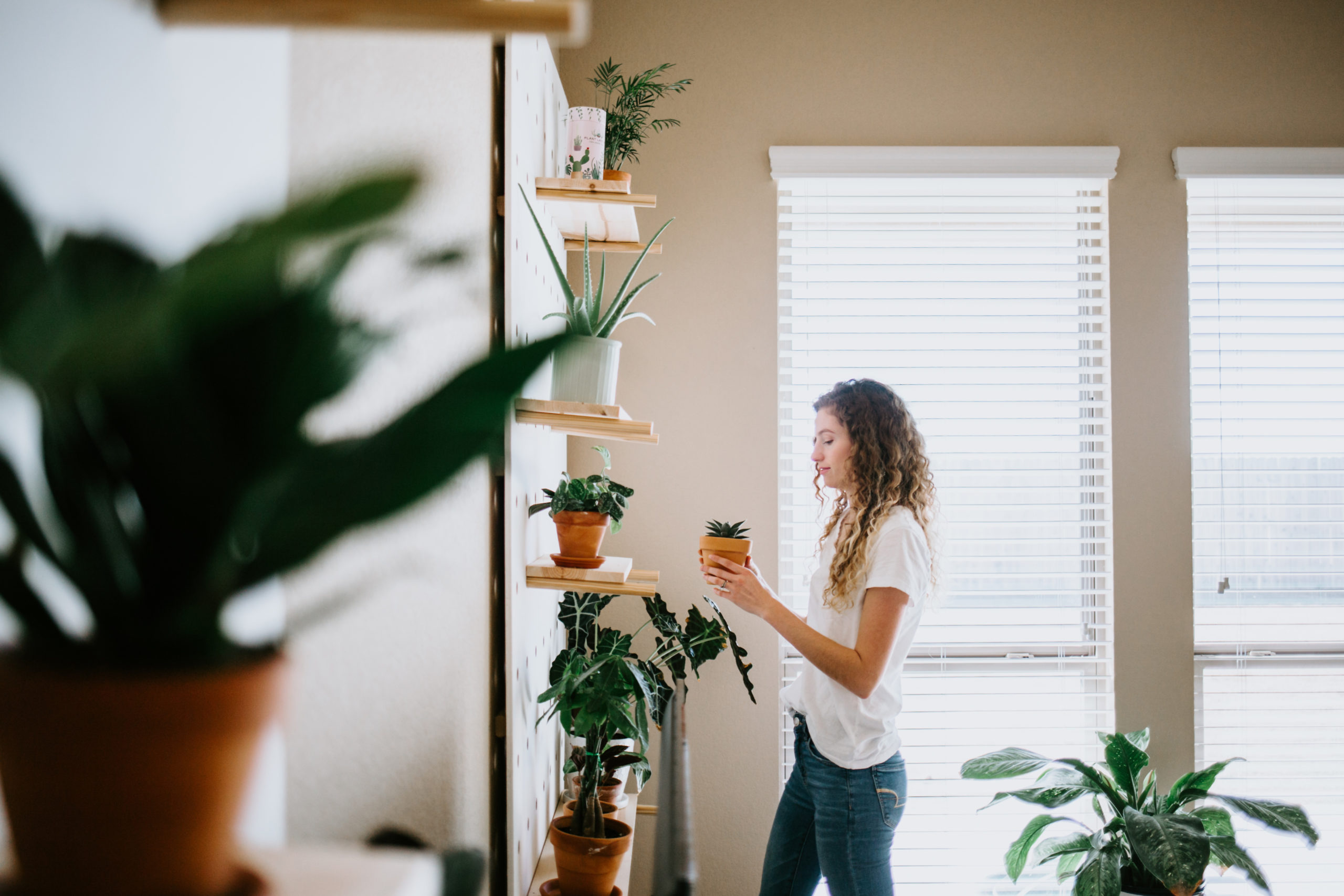 Tips for Appreciating Nature Indoors
