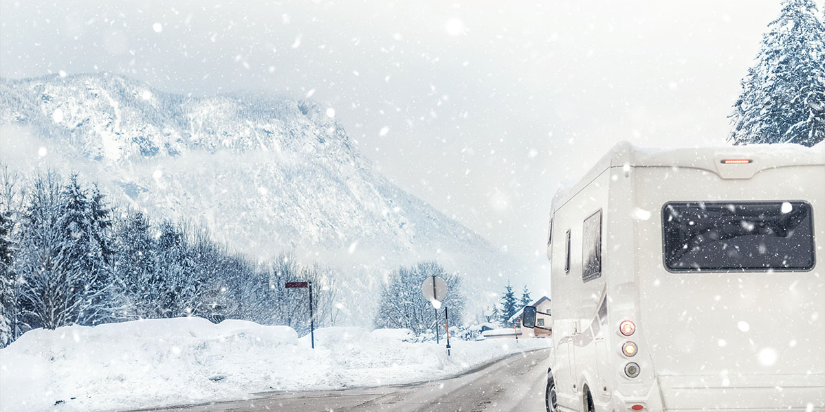 6 RV Destinations For Winter Wildlife Enthusiasts