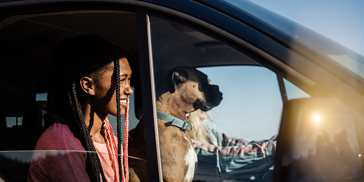 How to Plan a Successful RV Road Trip With Your Dog This Winter