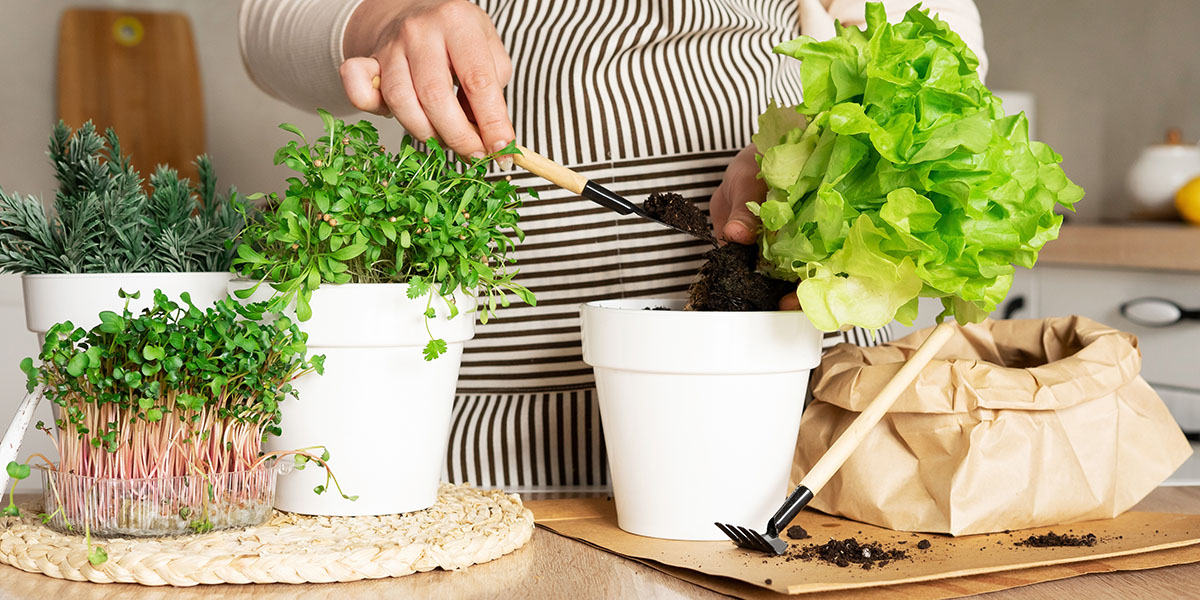 The Secret Delight of an RV Garden