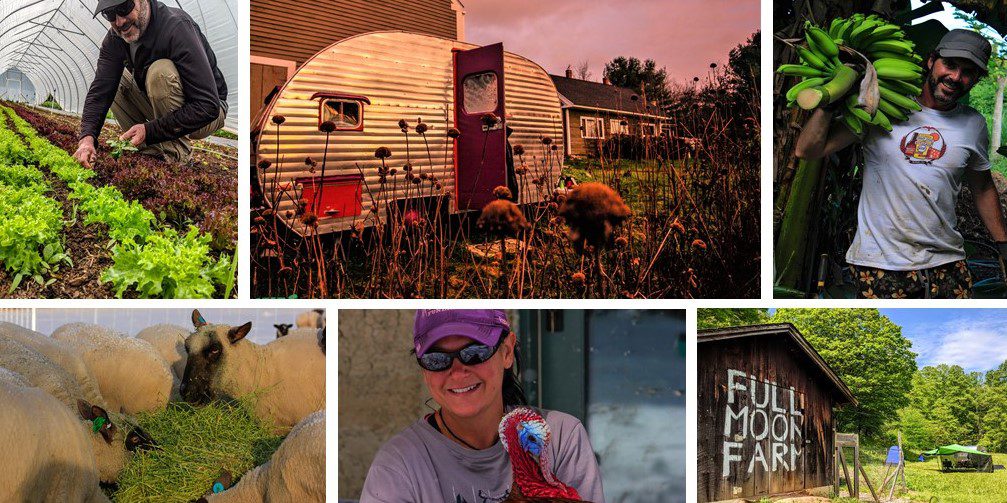 Shhh… These RV Work Trade and Volunteer Jobs Pay