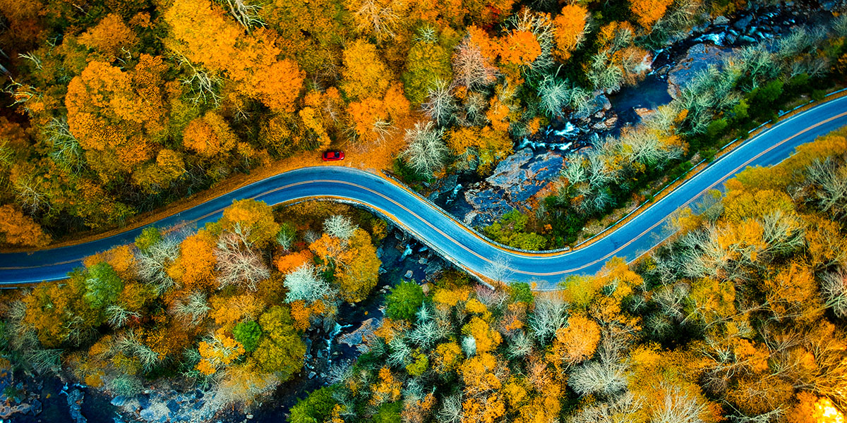 Asheville’s Hidden Campground: Rutledge Lake RV Park Resort