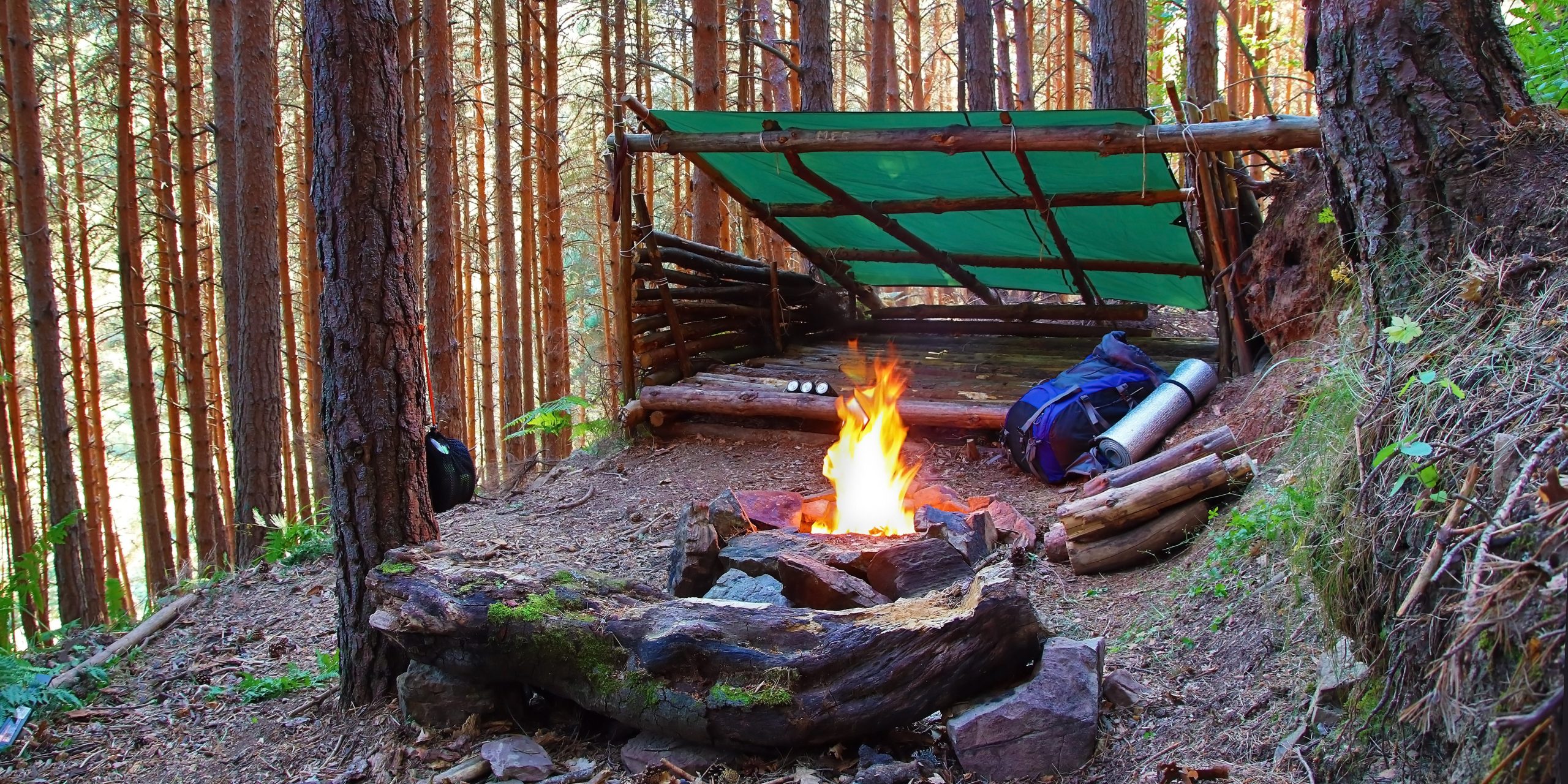 Camping Survival Skills That Could Save Your Life