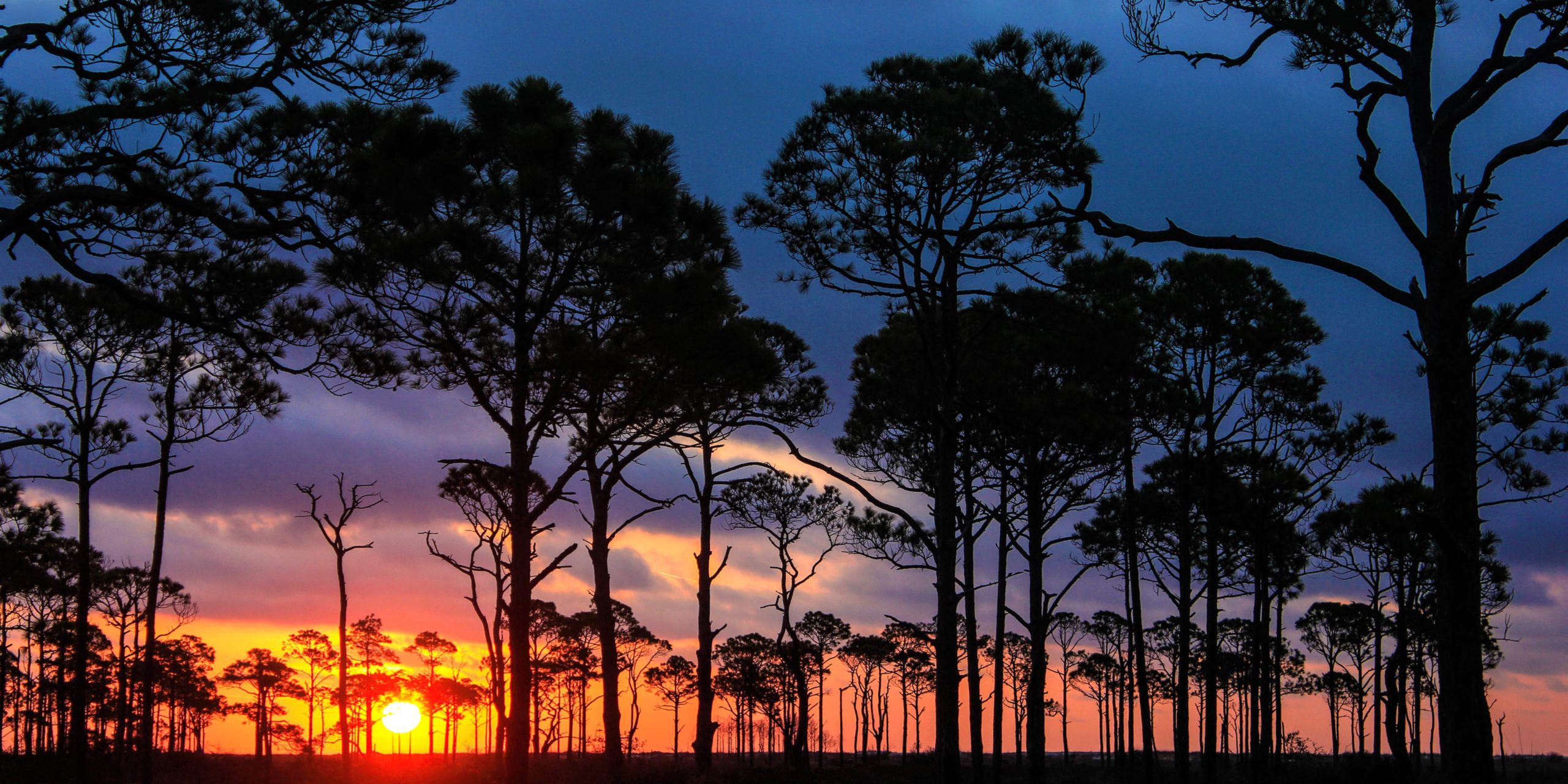 Everglades National Park: RV Camping and Travel Guide
