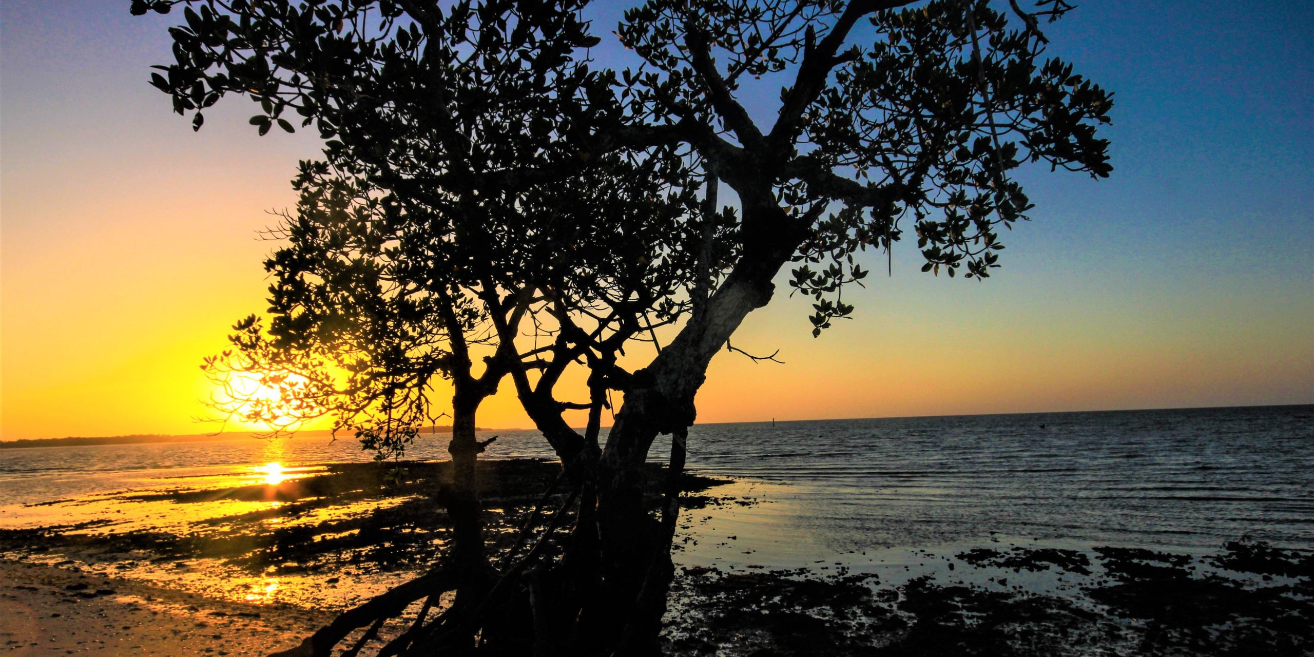 Biscayne National Park: RV Camping and Travel Guide