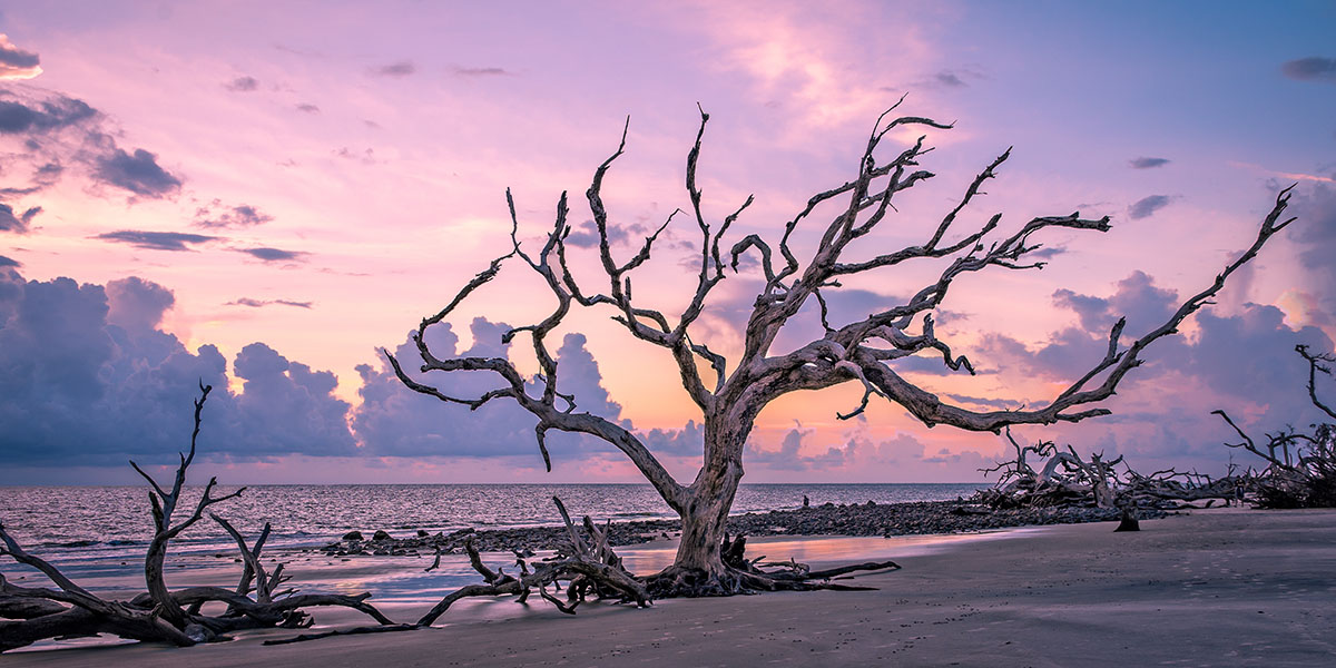 The Most Scenic RV Campsites: A Coast-to-Coast Guide