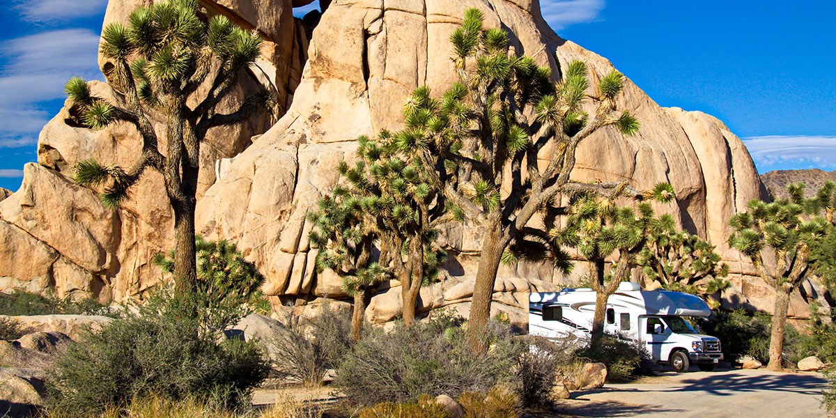 Picking a Joshua Tree Campground? Here’s What to Know