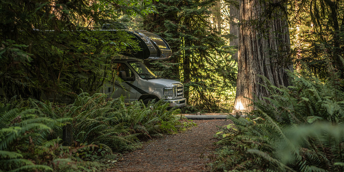 Secluded Camping Spots to Avoid Spring Crowds