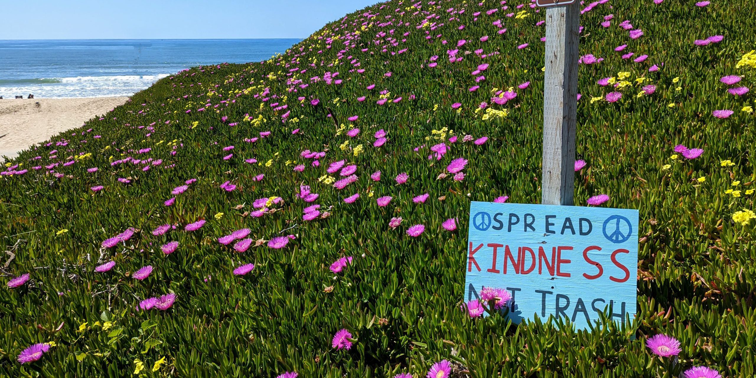 Earth Day Ethics: An RV Guide to Leave No Trace