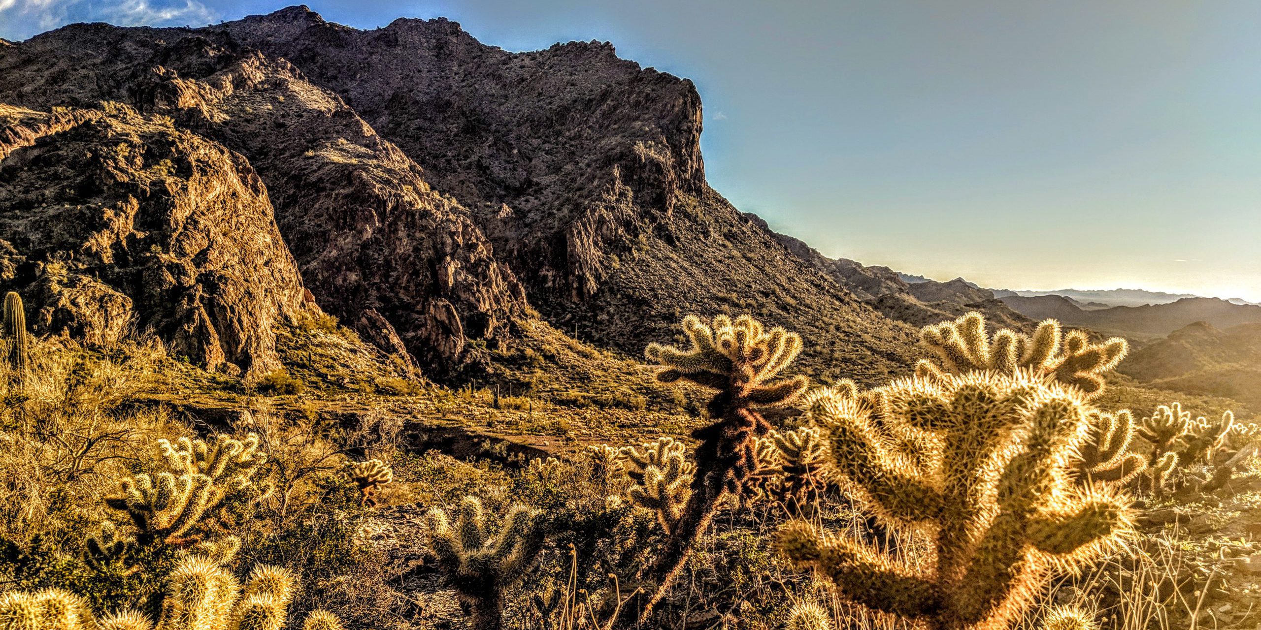 Saguaro National Park: RV Travel and Camping Guide