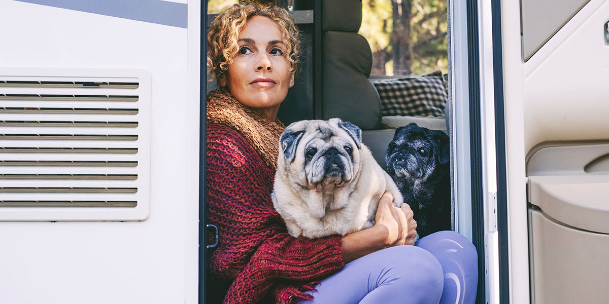 RV Dogs Need These 5 Things from Their Owners
