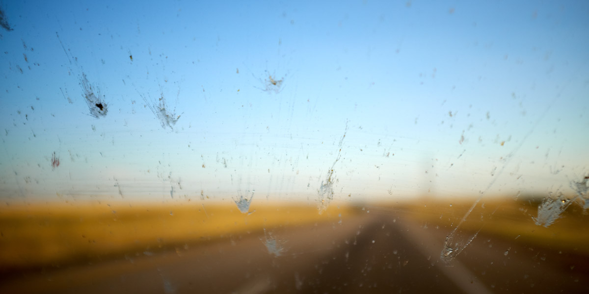Cleaning Bug Splatter Off Your RV: A Step-by-Step Guide