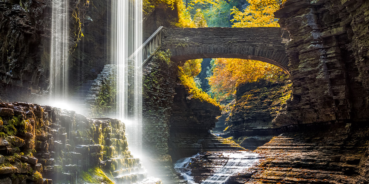 Google Shares Top 10 Most-Searched State Parks